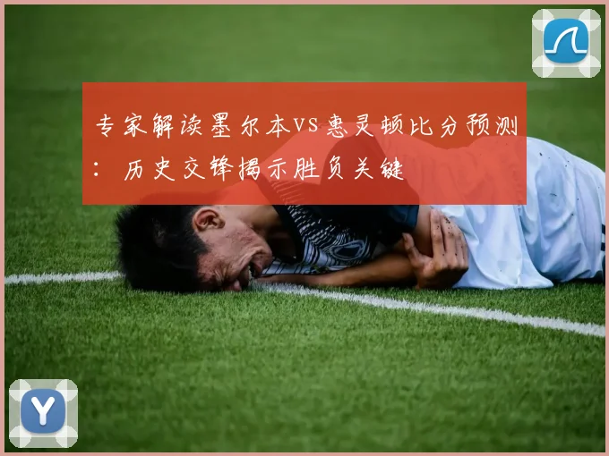 专家解读墨尔本vs惠灵顿比分预测：历史交锋揭示胜负关键